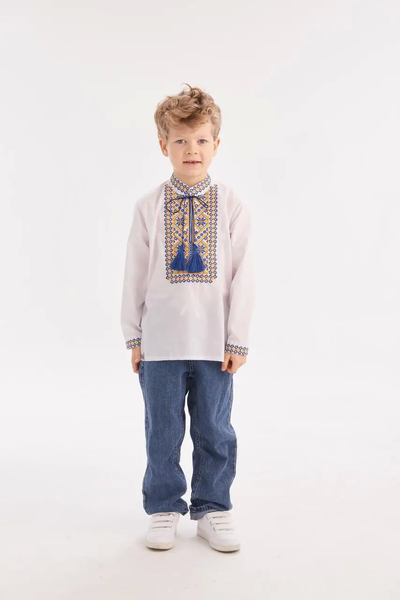 Embroidered shirt for a boy "Timothy", blue-yellow 11000540 photo