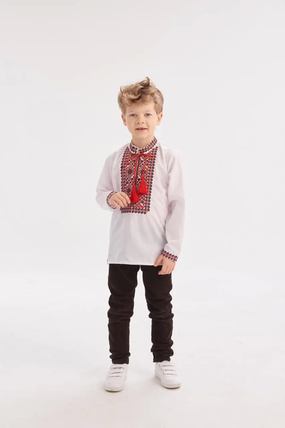 Embroidered shirt for a boy "Marko", red 11000682 photo