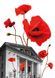 Postcard Mariupol. Poppies 1100002 photo 1