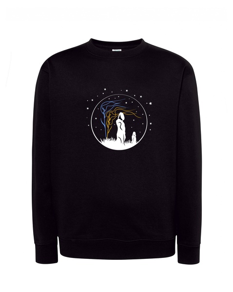 Guardians of the Steppe sweatshirt, black, size S 11000284 photo